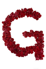 Red rose letter