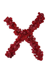 Red rose letter