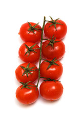 fresh tomatoes