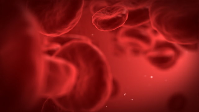 Red blood cells - part 3