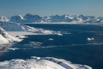 Gordijnen Groenland, ijsschots en bergen © Anouk Stricher