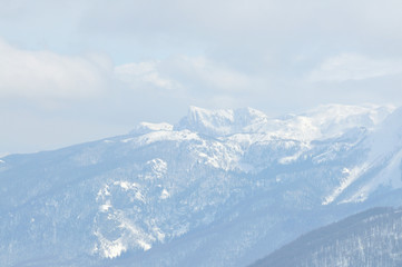 Naklejka premium winter landscape