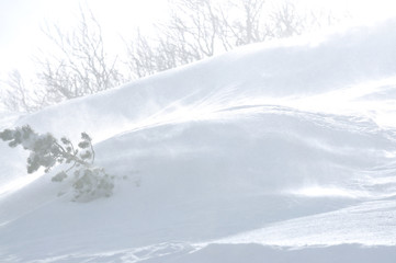 Obraz premium winter landscape