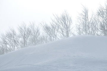 Obraz premium winter landscape