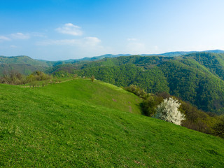 Naklejka premium mountain landscape