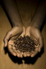 contenitore caffè