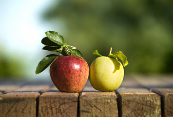 apples