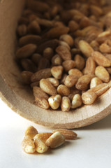 Farro - Triticum dicoccum