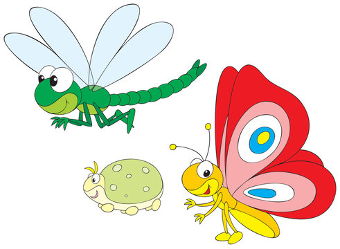 Dragonfly, greenfly and butterfly