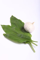 Bärlauch und Knoblauch