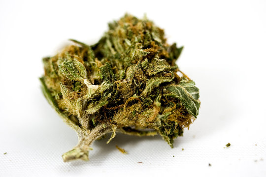 marijuana
