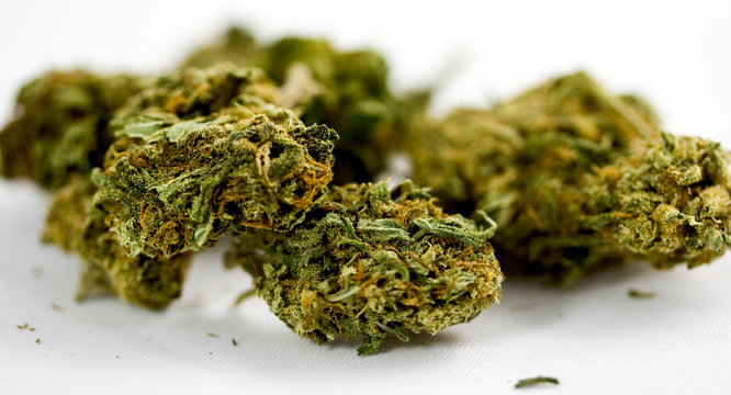 marijuana