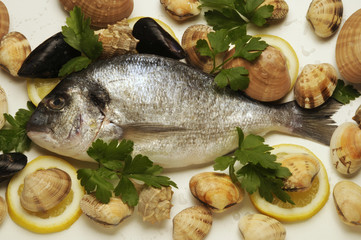 Orata e frutti di mare crudi
