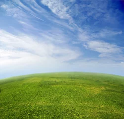 Fototapete Rund Green grass, blue sky in fish-eye lens © konradbak