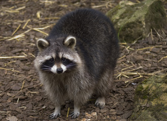 Obraz premium Tu la prends ta photo !