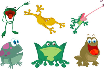 Frogs