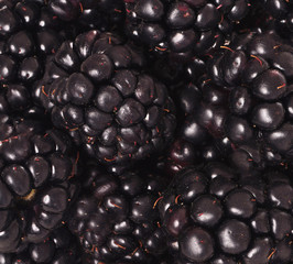 Blackberries