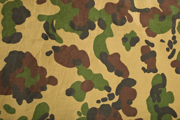 Camouflage background