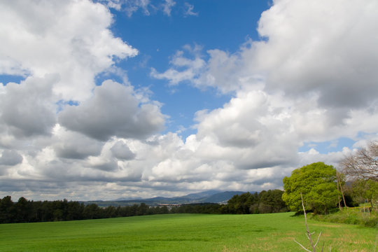 Green fields and blue sky with clouds