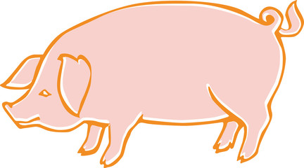 pig