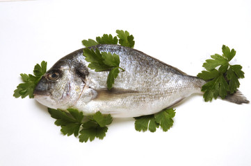 Orata con foglie di prezzemolo