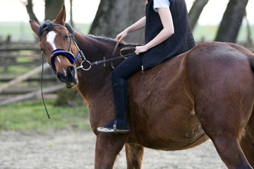 girl on the horse