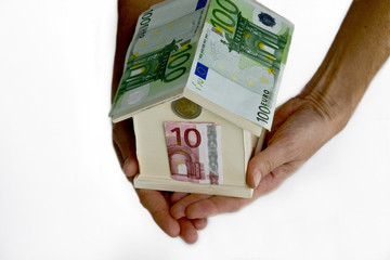 casetta di euro su sfondo bianco