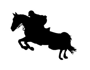 cavallo che salta © puckillustrations