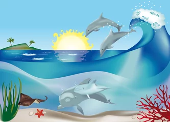 Poster Im Rahmen springende Delfine © crazycolors