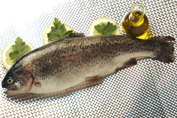 Trota iridea bianca cruda