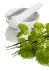 herbals and spices with white mortar