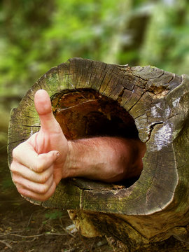 Hand with tumb up in a cavity