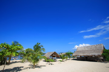 Beach Resort of palawan Island