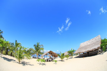 Beach Resort of palawan Island