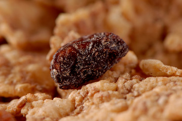 płatki, cereals © Krzysztof Budziakows