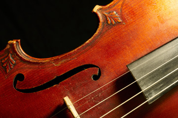 Part of vintage violin