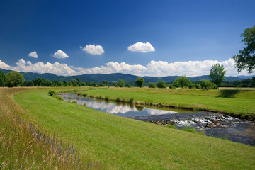 river in black forrest at Germany