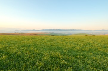Fototapeta na wymiar Meadow in morning