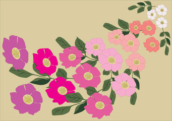 brier flower background