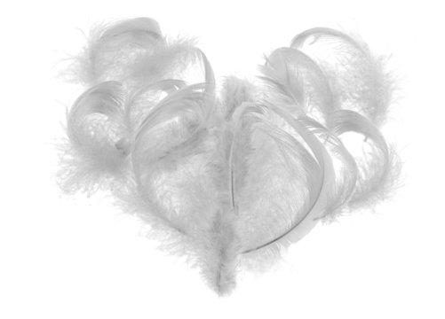 Light Feather Heart