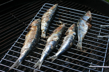Sardines grillées
