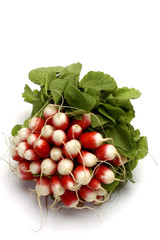 Radis rouges