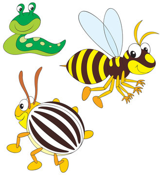 Wasp, potato beetle and slug