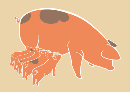 schwein und schweinchen