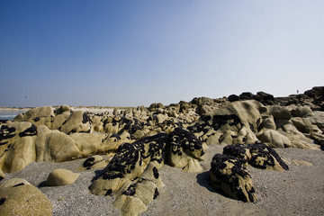 rocks on a beach in brittany