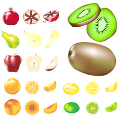 Fruit illustrations - whole, slice, and wedge
