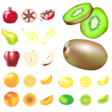 Fruit illustrations - whole, slice, and wedge