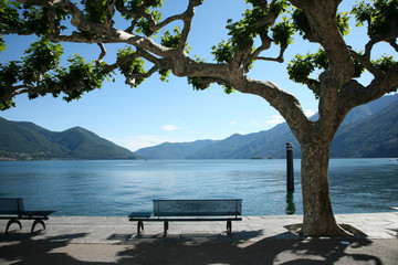 panchina e lago in ticino, svizzera, ascona