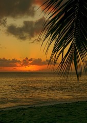 une belle plage au coucher de soleil en Martinique