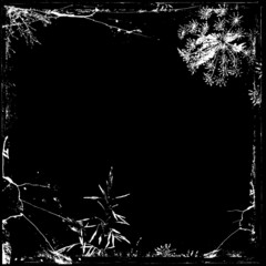 frame with floral elements